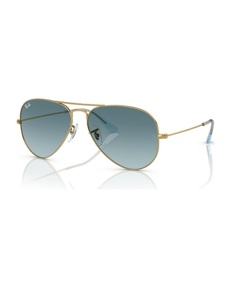 Sunglasses RB3025 AVIATOR GRADIENT SILVER/GREY GRADIENT $21.36 Unisex