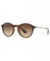 Sunglasses RB4243 TORTOISE/BROWN GRADIENT $27.90 Unisex