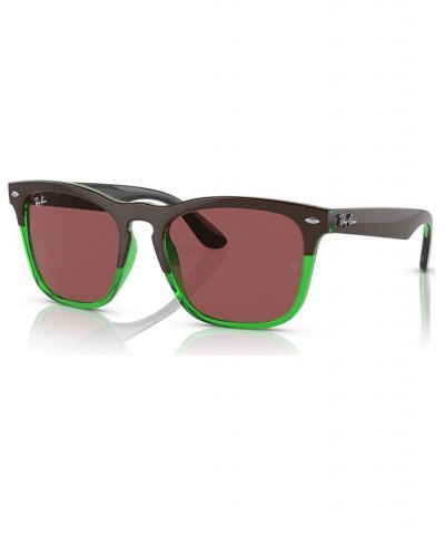 Unisex Sunglasses RB448754-X Dark Brown on Transparent Green $39.20 Unisex