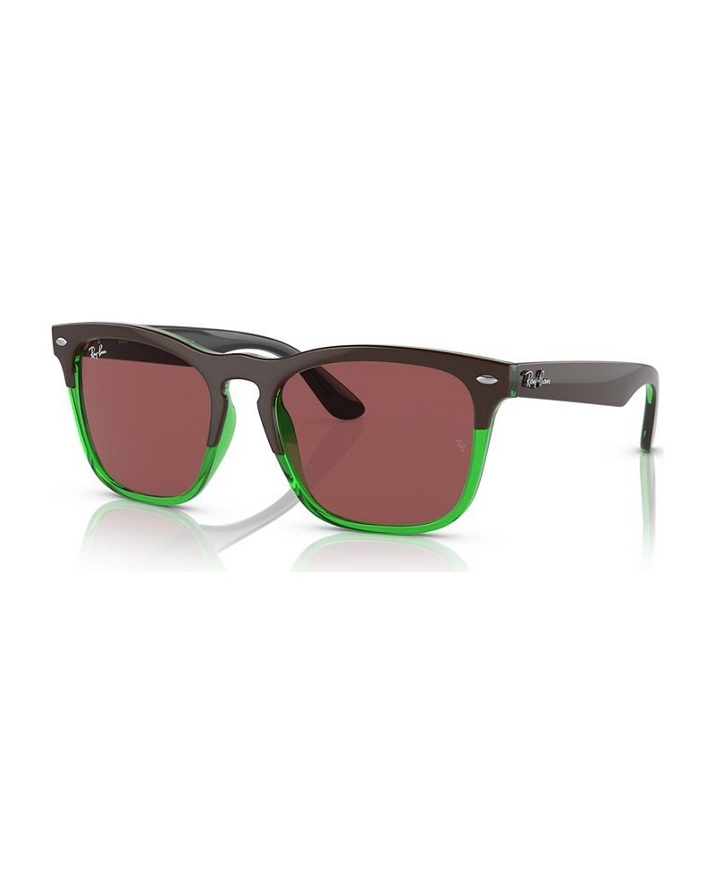 Unisex Sunglasses RB448754-X Dark Brown on Transparent Green $39.20 Unisex