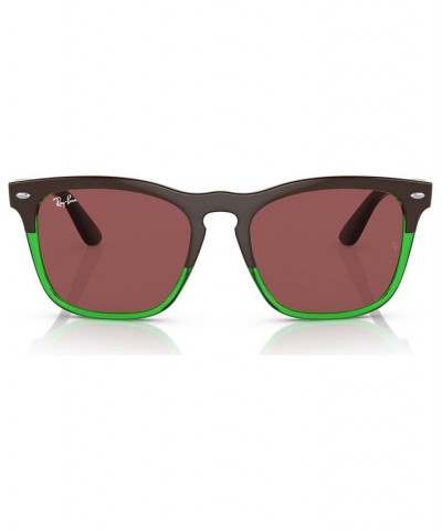 Unisex Sunglasses RB448754-X Dark Brown on Transparent Green $39.20 Unisex