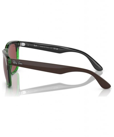 Unisex Sunglasses RB448754-X Dark Brown on Transparent Green $39.20 Unisex